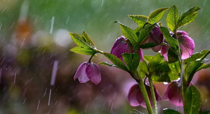 Eddig élvezhetjük a meleget, utána nagy esővel jön a hidegfront