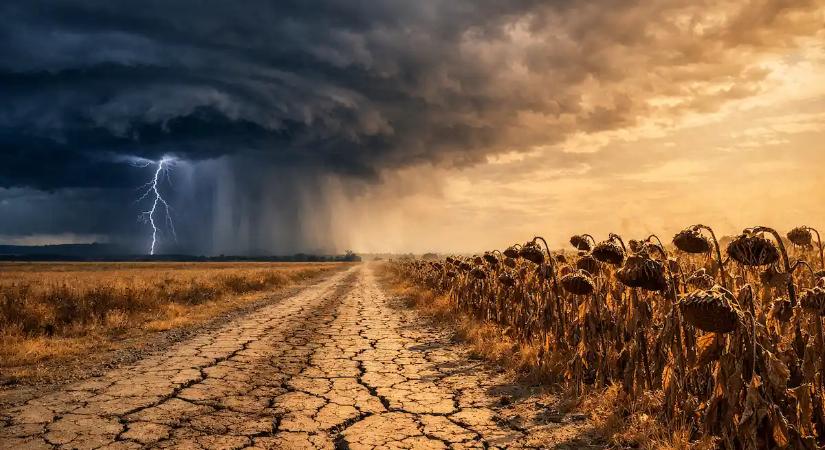 Kiadták a riasztást Európa vezető meteorológusai: Extrém viharokat és rekord hőhullámot hozhat a nyáron a Szuper El Niño Magyarországon