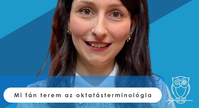 Az oktatatásterminológia kérdéseivel foglalkozik a Bagoly mondja új adása