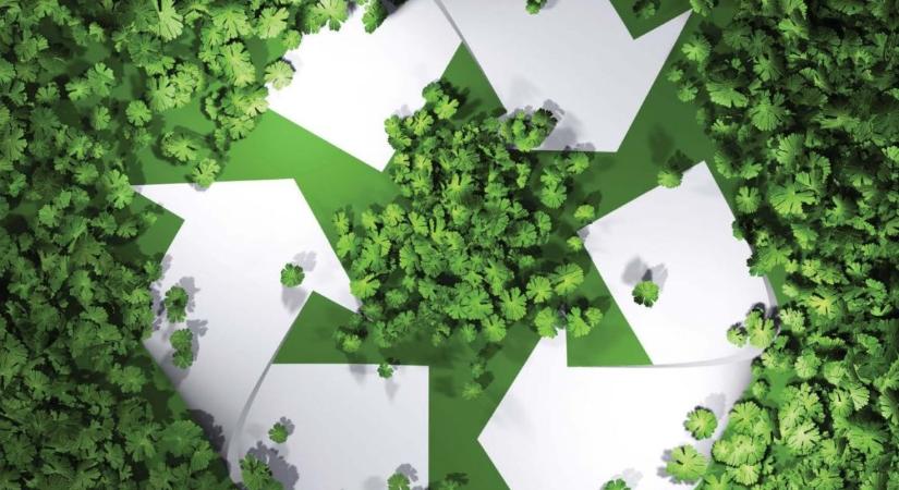 Új fejezetéhez érkezett a Hargita megyei FöldMentor program