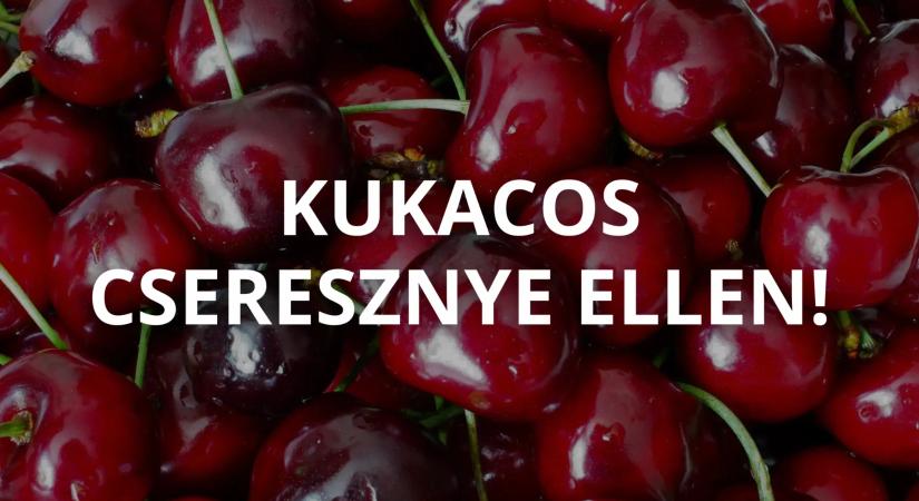 Ha ezt most nem teszed meg, kukacos lesz az összes cseresznyéd