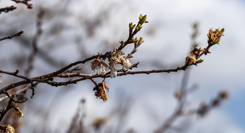 Felszólítják a magyar termelőket: ha ez veled is megtörtént, jelentsd