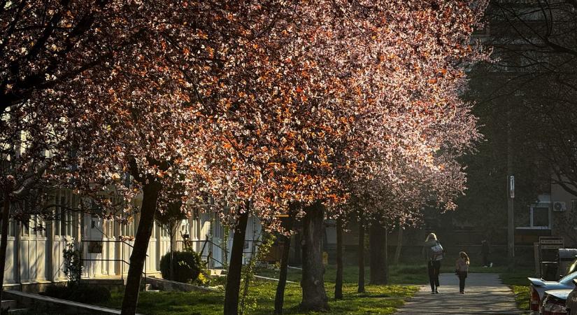 Pufidzseki a szekrényben, de a szél még „borzol”: megbocsájtunk a tavasznak?