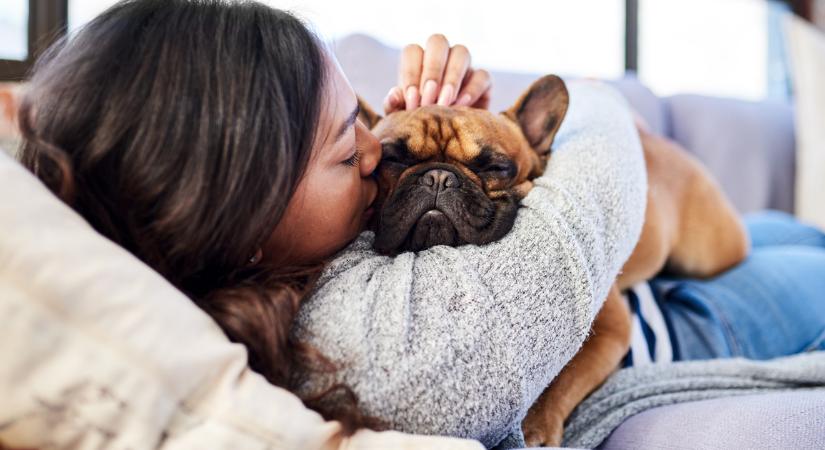 A kutyák fogják bedönteni a Tindert