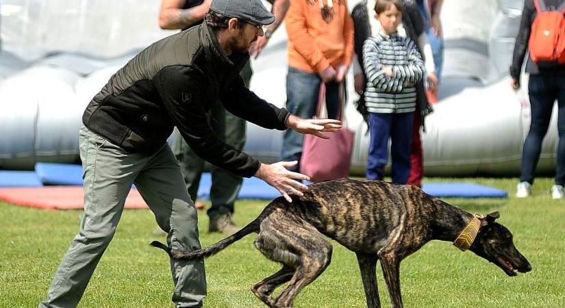 Veszélyben a kajászói Vadászmajális – van, aki megmenti?