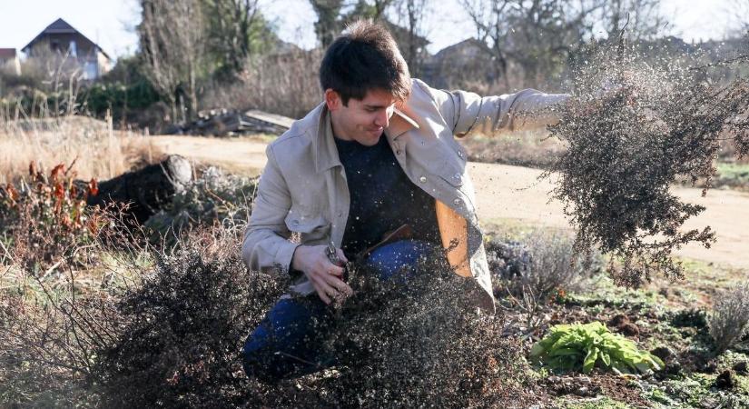 Sokan elrontják a kertészkedést, ezen segít most egy új kiadvány