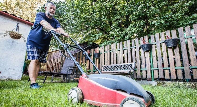A fűben sok az orvosság – Most kell szedni, mielőtt beindítjuk a fűnyírót