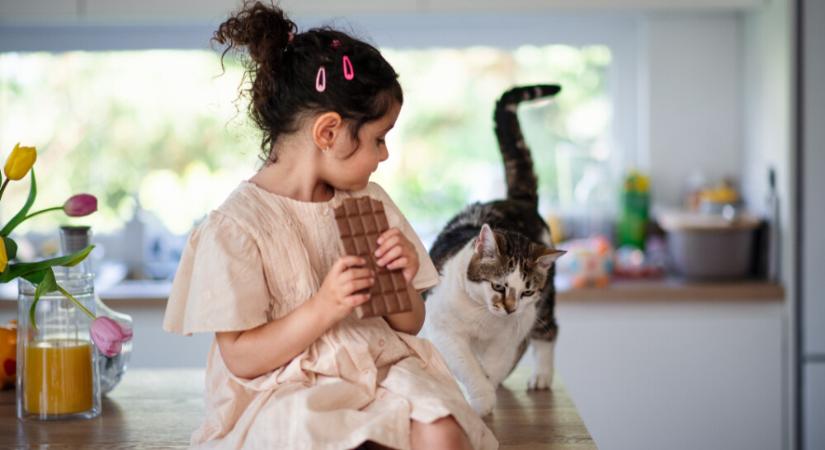 Megmaradt a húsvéti csoki? Erre tilos felhasználni! – Kevesen ismerik a veszélyt