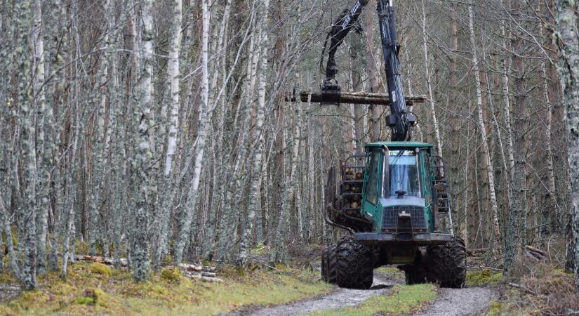 Módosult az erdészeti gép-pályázat: Így változtak a traktorbeszerzés és a támogatási keret szabályai