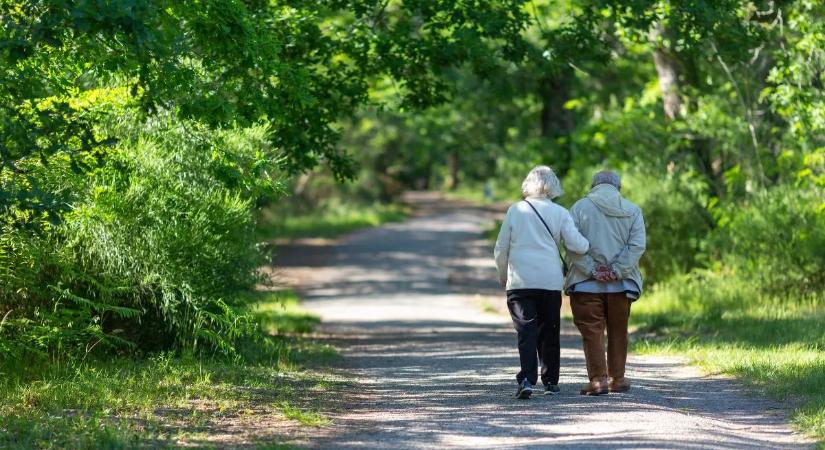 Meglepő tünet: így ismerhető fel a demencia sétálás közben