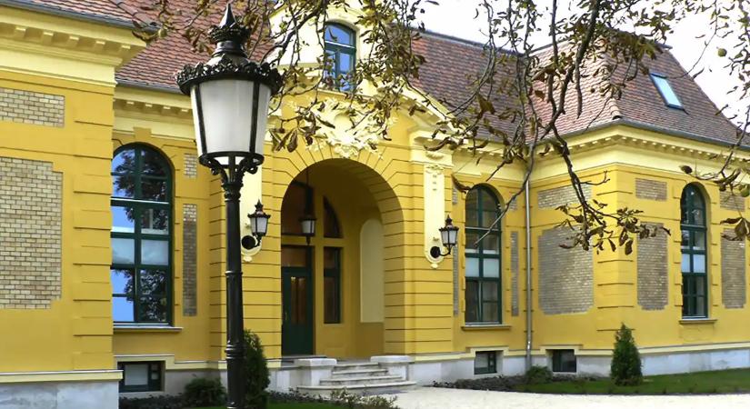 Őrizetbe vették Halásztelek polgármesterét