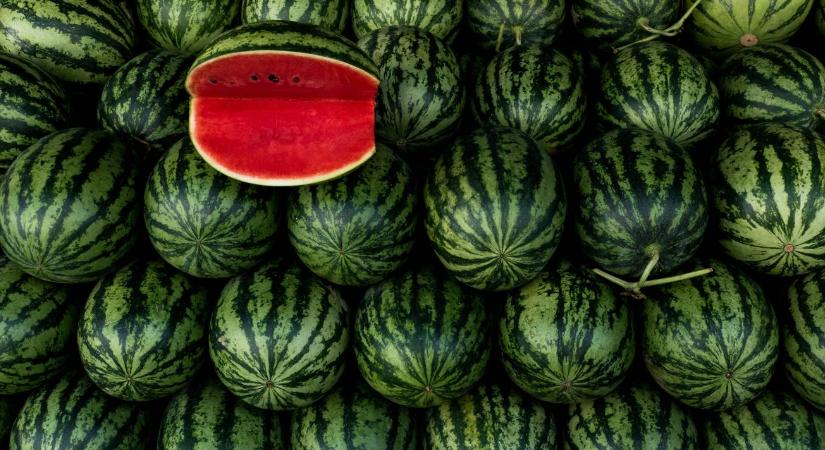 Érkezik a spanyol dinnye, rezeg a léc a piacon