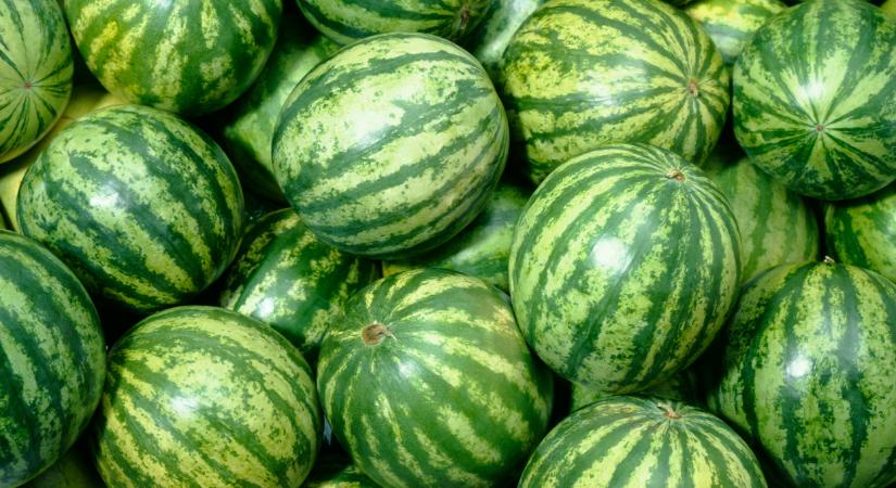 Összeomlás jöhet? Figyelmeztetést kapott rengeteg termelő