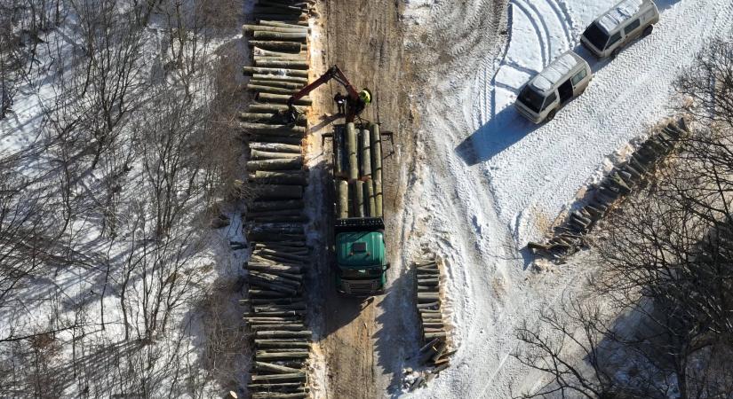 Ötmilliárdos előrelépés az energiafüggetlenségért, ami a környék erdőit is érinti