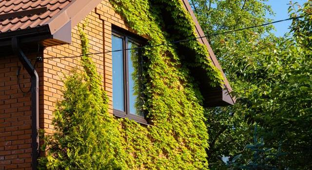 Több százezer forintra bírságolhatnak, ha ez hiányzik a házadról