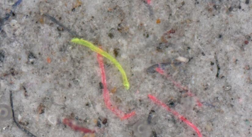 A mikroműanyagok 98,5 százalékát szedi ki a mosógép szennyvizéből az új német csodaszűrő