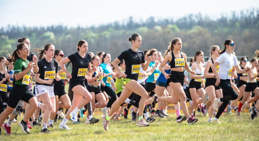 Második hely a legjobb vármegyei eredmény a gödöllői mezeifutó döntőben