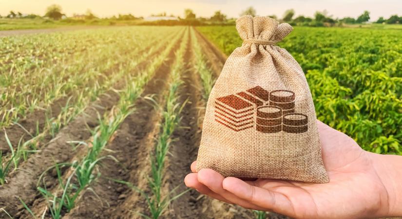 Óriási botrány robbant ki az agrártámogatások körül ebben a térségben
