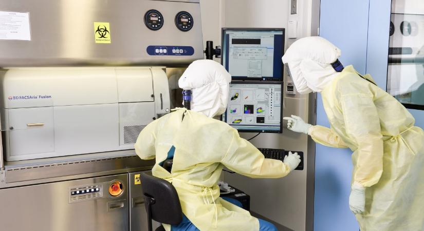 Azzal vádolnak egy kutatót, hogy vírusokat lopott ki egy brazíliai biztonsági laboratóriumból