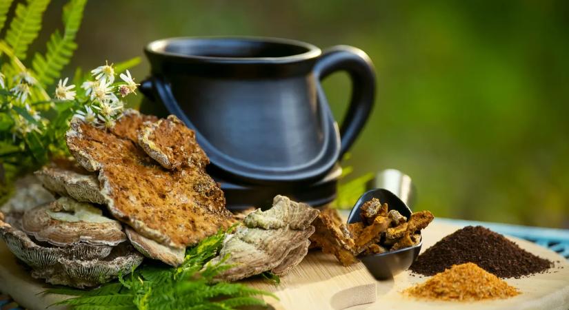 Gomba-trip – így emeld új szintre a mentális teljesítményed