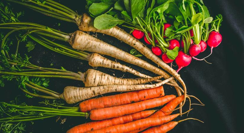 Ingyenes segítség a NAK-tól: így lesznek egészségesek a zöldségeid és dísznövényeid