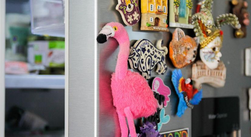 Mágnesek a hűtőn? Ez az igazság az áramfogyasztásról