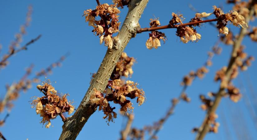 Riasztó jelentés jött a magyarországi időjárásról: romlik a helyzet