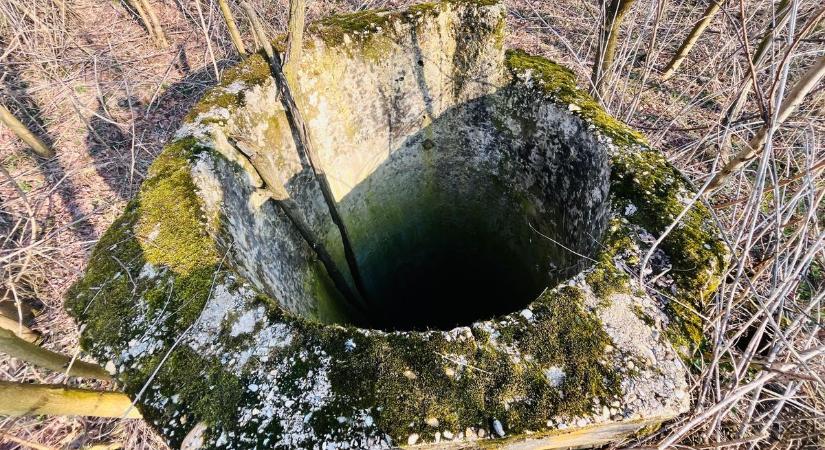 Titokzatos és veszélyes kutak rejtőznek a zalai erdőkben, de vajon hogyan kerültek oda? — utánajártunk a rejtélynek