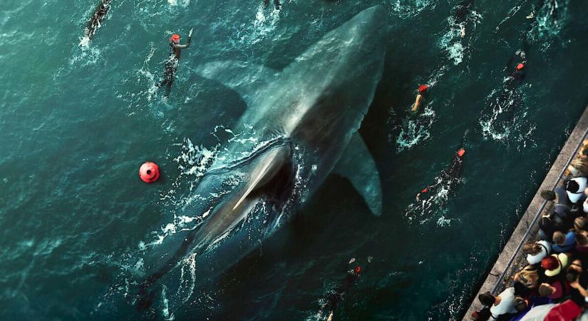 TOPLISTA: 6 kihagyhatatlan cápás thriller, nemcsak a műfaj rajongóinak!