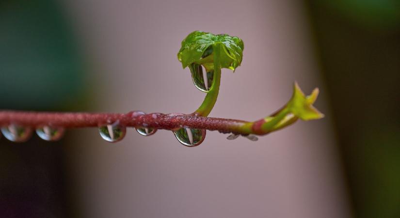 Kiderült: ekkor érkezhet végre a nagy eső