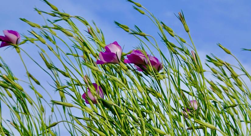 Időjárás: Erre a két dologra nagyon figyelj pénteken!