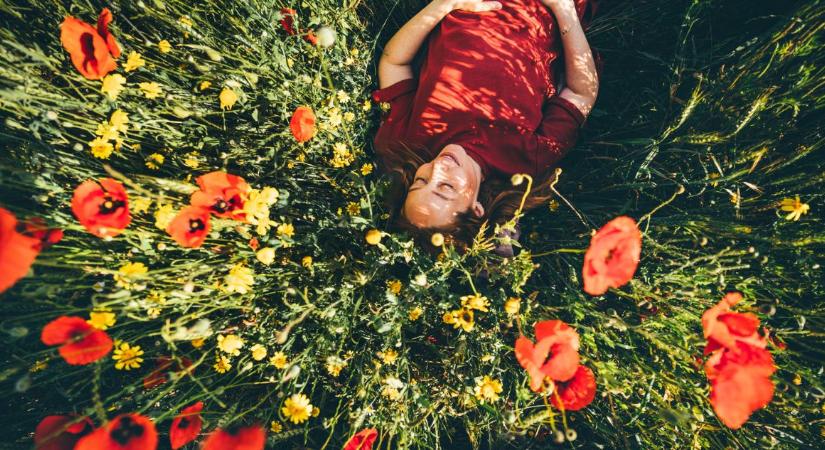 6 gyönyörű virág, amit tavasszal ültess el – egész nyáron pompázni fognak