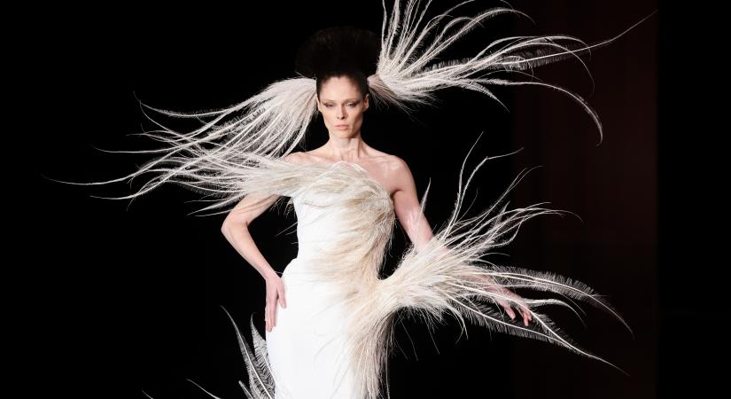 A toll az új szőrme – Meddig marad ez az utolsó tabu?