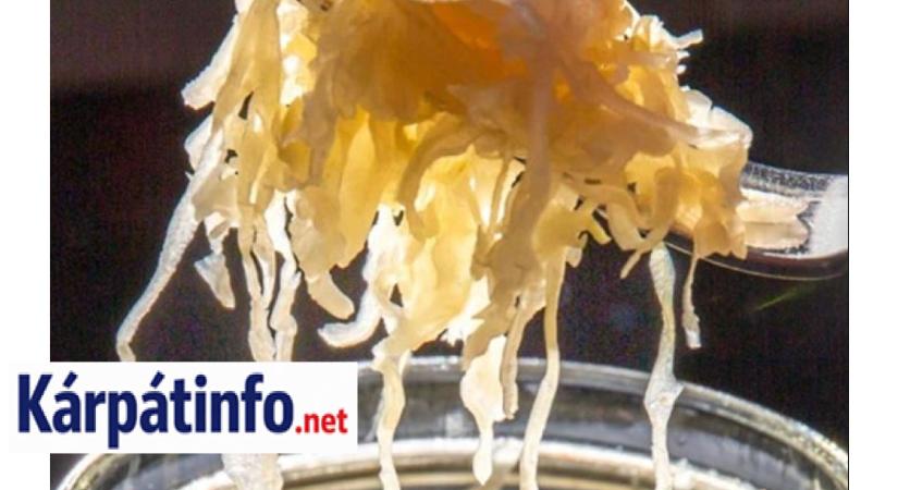Nem hinnénk, de ezt teszi a savanyú káposzta a szervezetünkkel