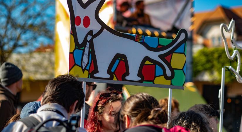 Gyűjtésbe kezdett a Kétfarkú Kutya Párt