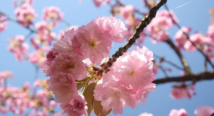 Tavaszi hullámvasút: napsütéstől a szeles, felhős időig