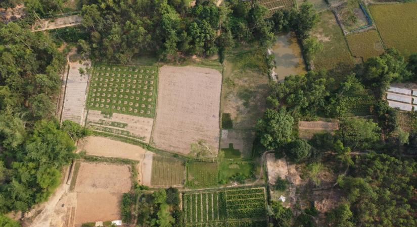 Dinamikus kereslet mellett is stabilak maradtak a telekárak