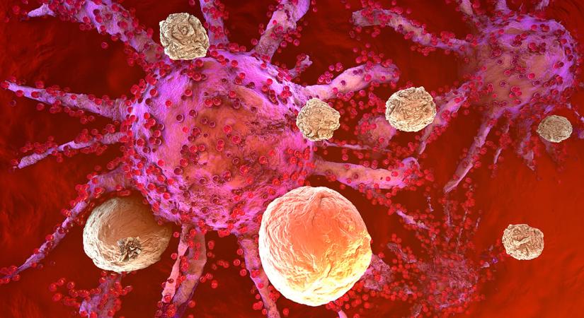 Találtak valamit, amivel lassítható lehet az öregedés