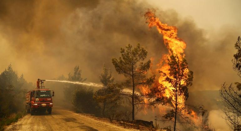 Erdőtűz pusztított Erdélyben