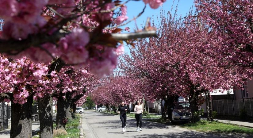Hull a napfény, hull a zápor – ilyen idő vár ránk a hétvégén