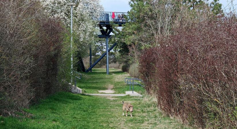 Sok napsütés jön, a szél is beleszól  videó