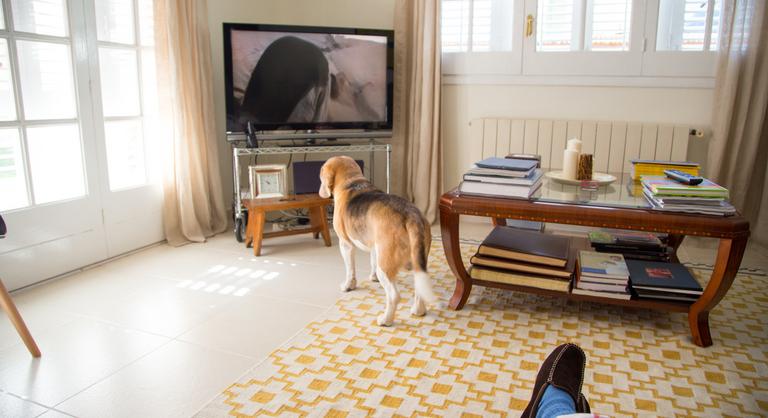 Érdemes felkészülni: hét év után visszatér egy régi-új adó