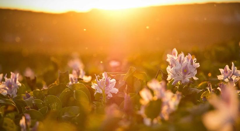 Durva időjárási változások jöhetnek a napokban