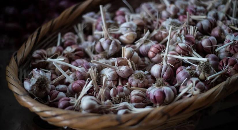 Megvannak az ételek, amik lelassítják az öregedést