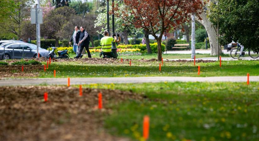 Máshol tiltják, Kecskeméten viszont megengedik a lakosságnak – fotók