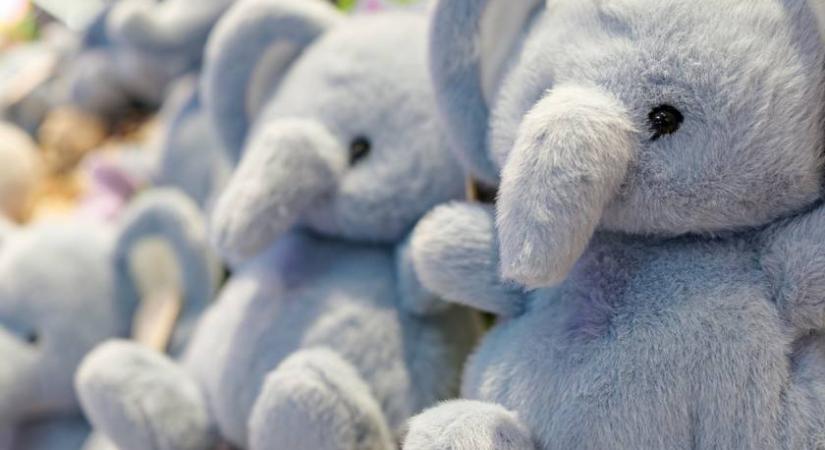 Mozgó szempárt vettek észre a plüssök között a szuvenírboltban: mindenki lesokkolódott