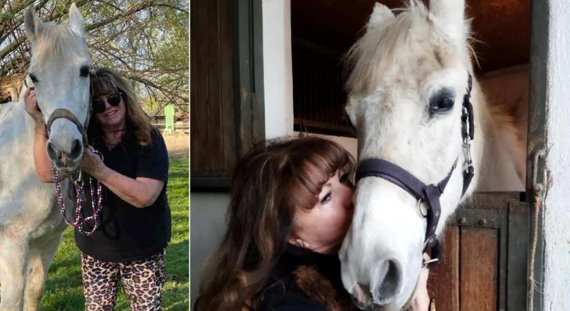 „Az állatorvosok is csak széttárt karokkal állnak, amint látják őt futni, játszani” – Zalatnay Cini lova csodájára jár mindenki