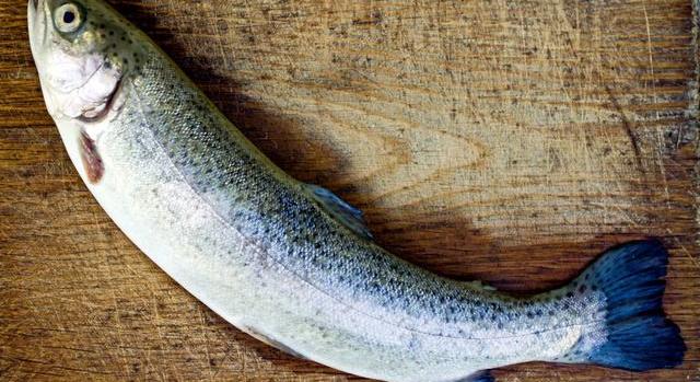 Kiszúrod a halat a virágok között? Csak kevesen tudják a megoldást