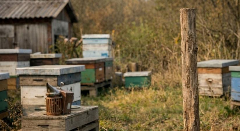 Méhbetegség miatt zárlatot rendeltek el több Békés vármegyei településen