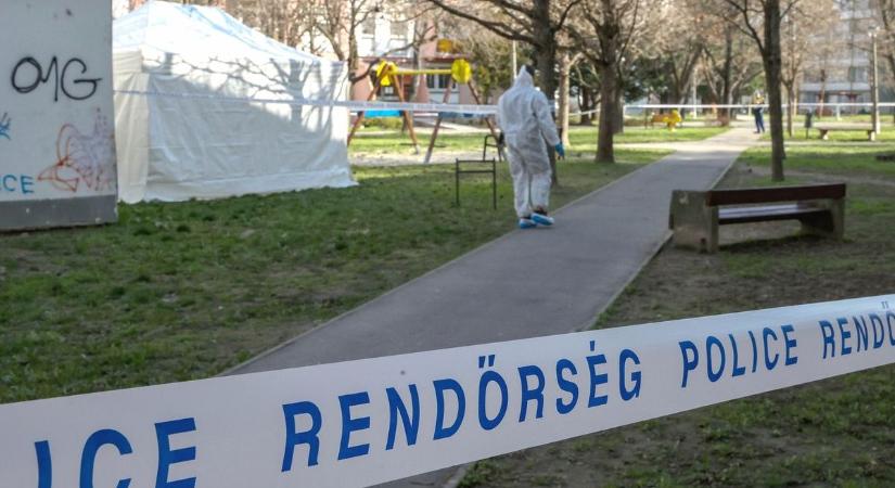 Emberölés Baranyában: egymásnak estek a családok, az apjának nézhette a késelő az áldozatot